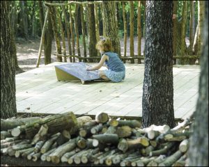 Preschool Daycare Forest Play